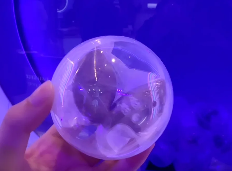 幸運籤餅放在扭蛋裡面